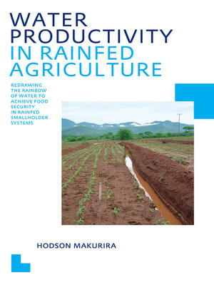 cover image of Water Productivity in Rainfed Agriculture